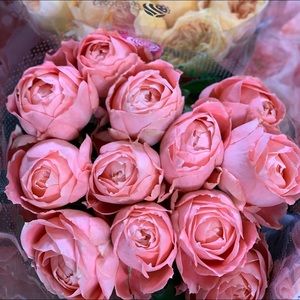 Meet your Posher, Radhika